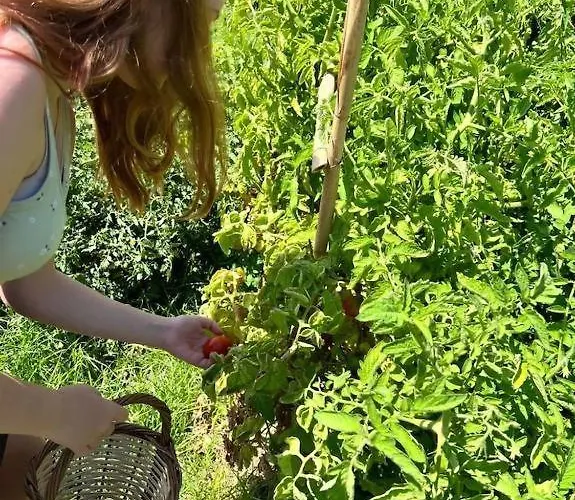 Secret Valley - Chora's Hideaway * Ándros