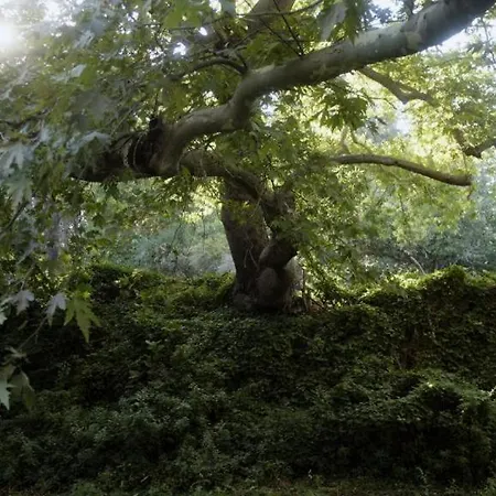 Secret Valley - Chora's Hideaway Hébergement de vacances Ándros