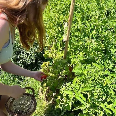 Secret Valley - Chora's Hideaway * Ándros