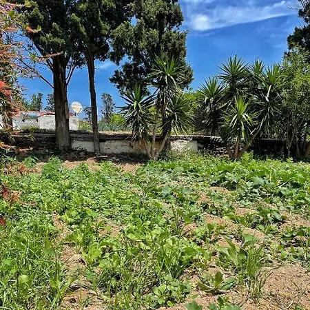 Holiday home Secret Valley - Chora's Hideaway Andros Town