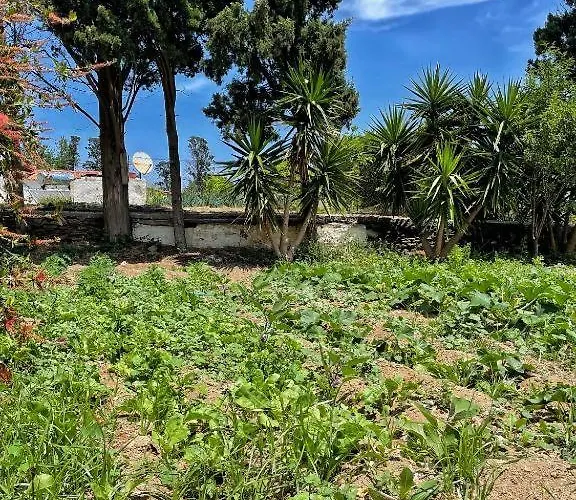 Casa de Férias Secret Valley - Chora's Hideaway Ándros